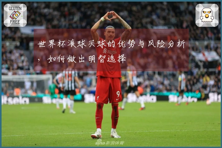 世界杯滚球买球的优势与风险分析，如何做出明智选择