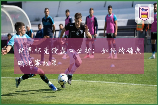 世界杯竞猜盘口分析：如何精确判断比赛结果