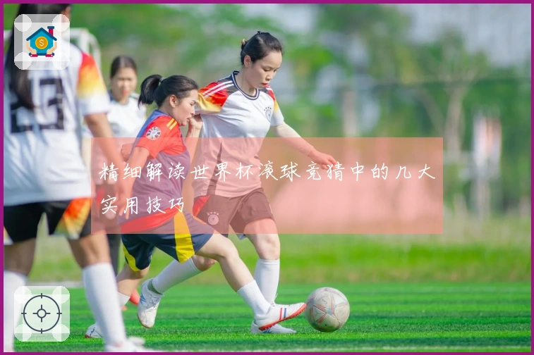 精细解读世界杯滚球竞猜中的几大实用技巧