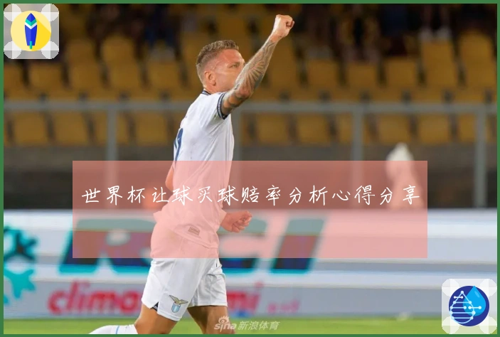 世界杯让球买球赔率分析心得分享