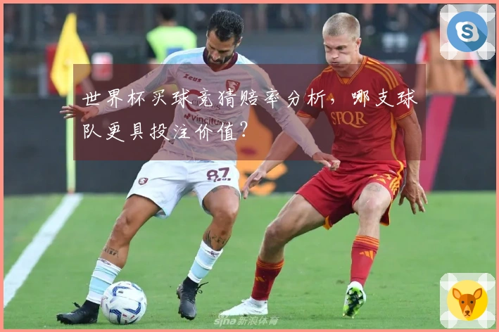 世界杯买球竞猜赔率分析，哪支球队更具投注价值？