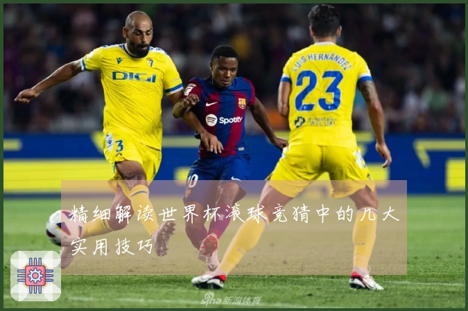 精细解读世界杯滚球竞猜中的几大实用技巧