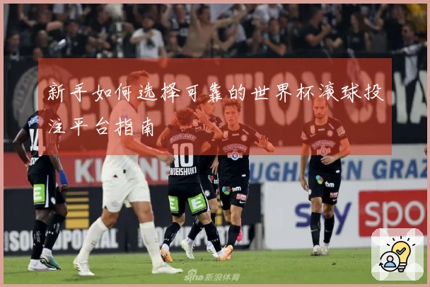 新手如何选择可靠的世界杯滚球投注平台指南