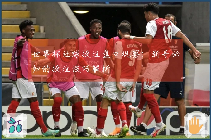 世界杯让球投注盘口观察：新手必知的投注技巧解析